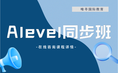 上海唯寻Alevel秋季同步班