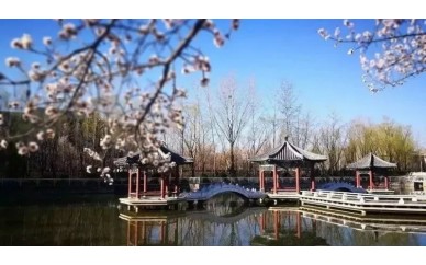 北京源梦国际教育昌平校区地址/联系电话图2