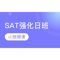 广州犀牛教育SAT强化培训班