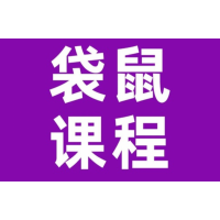 北京犀牛教育袋鼠竞赛L1培训班（适合幼儿园大班-1年级学生）