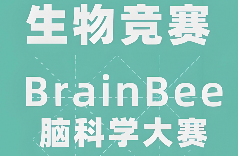 Brain Bee脑科学竞赛培训班