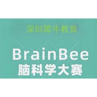 深圳Brainbee脑科学大赛辅导培训班