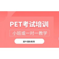 成都KET/PET辅导培训班