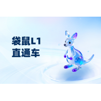 杭州袋鼠竞赛L1直通车 辅导课程适合1年级-2年级